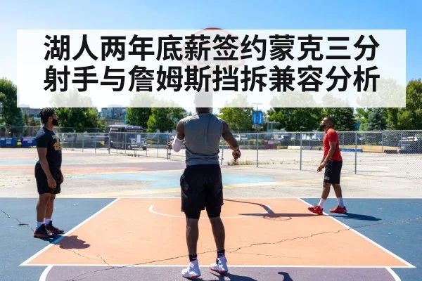 湖人两年底薪签约蒙克三分射手与詹姆斯挡拆兼容分析