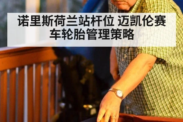 诺里斯荷兰站杆位 迈凯伦赛车轮胎管理策略